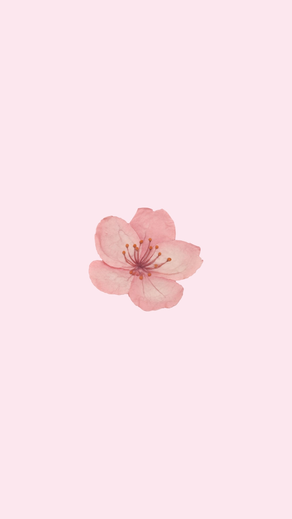 LOVED Phone Wallpaper
